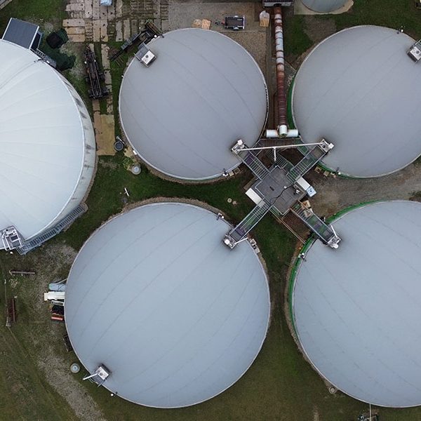 el-rol-del-biogas-en-la-transicion-energetica Naturgas