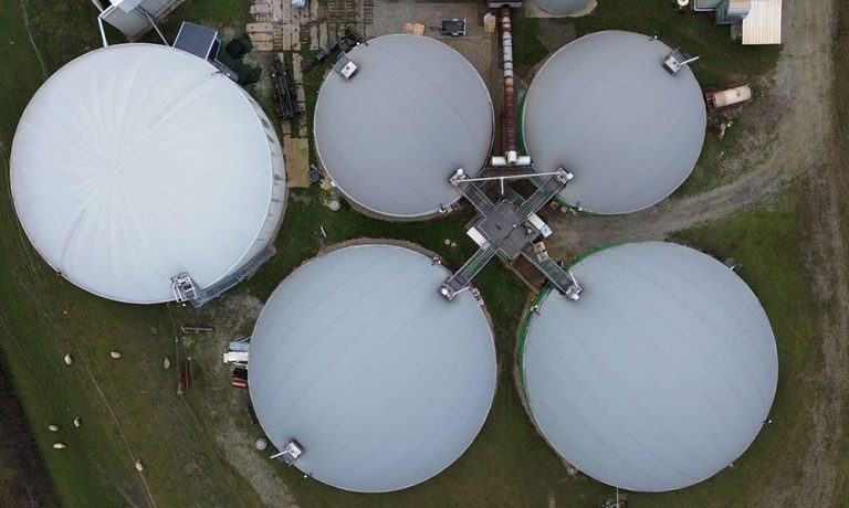 el-rol-del-biogas-en-la-transicion-energetica Naturgas