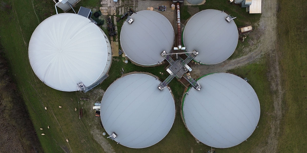 el-rol-del-biogas-en-la-transicion-energetica Naturgas