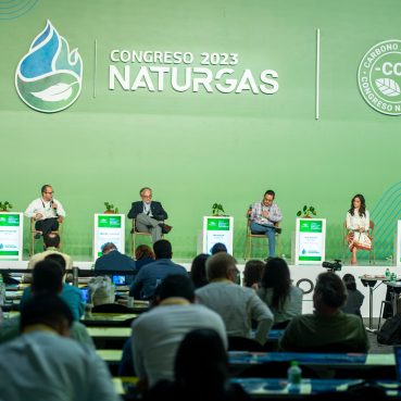Naturgas