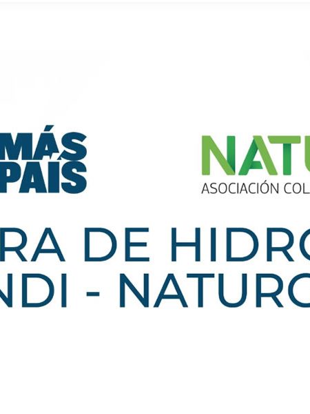 andi-y-naturgas-lanzan-el-primer-corredor-de-hidrogeno-conduciendo-hacia-la-sostenibilidad Naturgas