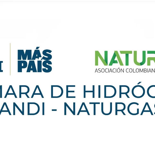 Naturgas
