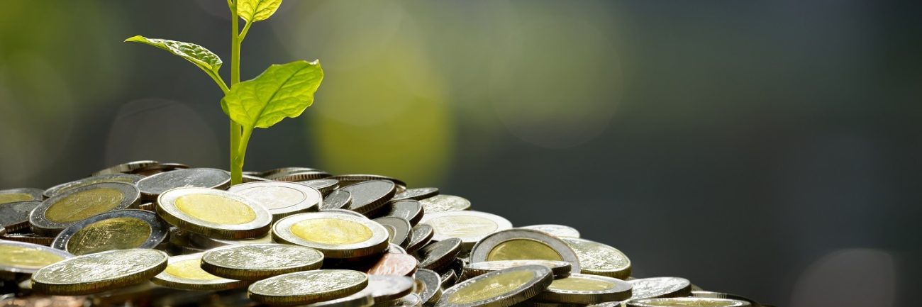 business-saving-growth-economic-concept-2023-11-27-05-10-14-utc business-saving-growth-economic-concept-2023-11-27-05-10-14-utc