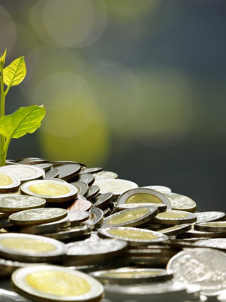 business-saving-growth-economic-concept-2023-11-27-05-10-14-utc business-saving-growth-economic-concept-2023-11-27-05-10-14-utc