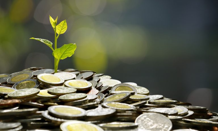 business-saving-growth-economic-concept-2023-11-27-05-10-14-utc business-saving-growth-economic-concept-2023-11-27-05-10-14-utc