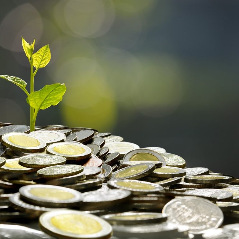 business-saving-growth-economic-concept-2023-11-27-05-10-14-utc business-saving-growth-economic-concept-2023-11-27-05-10-14-utc