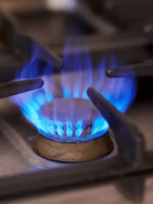 imagen_2024-03-22_110035990 Promigas