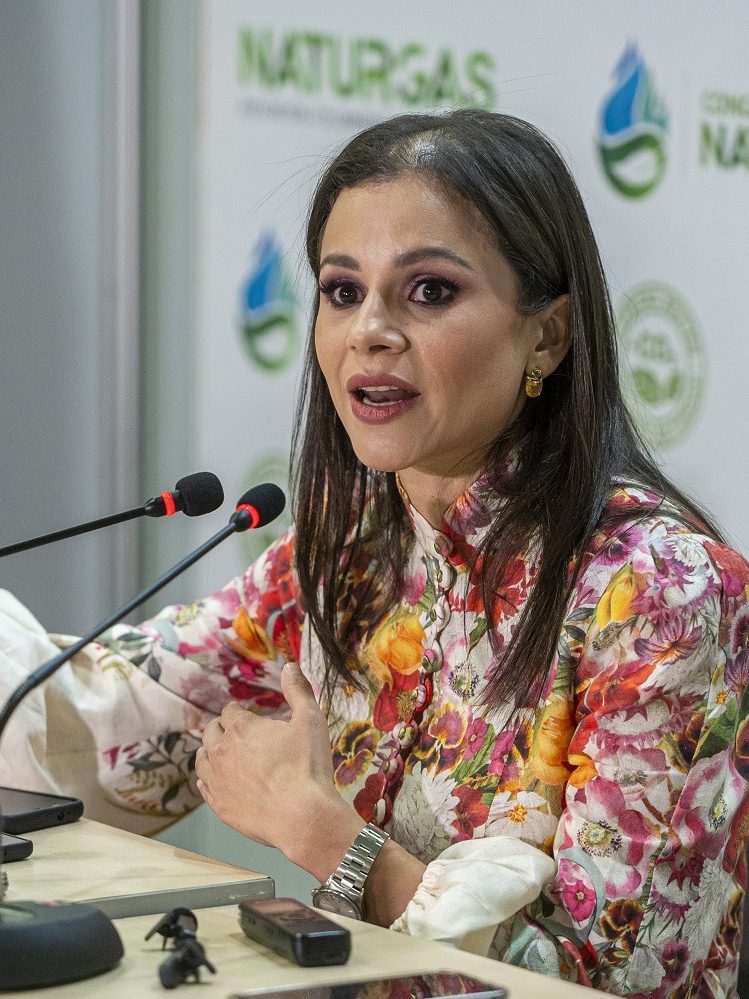 CONGRESO NATURGAS 2024 LOGRA CONSENSO DEL SECTOR PÚBLICO Y PRIVADO SOBRE EL ROL DEL GAS NATURAL EN LA TRANSICIÓN ENERGÉTICA CONGRESO NATURGAS 2024 LOGRA CONSENSO DEL SECTOR PÚBLICO Y PRIVADO SOBRE EL ROL DEL GAS NATURAL EN LA TRANSICIÓN ENERGÉTICA