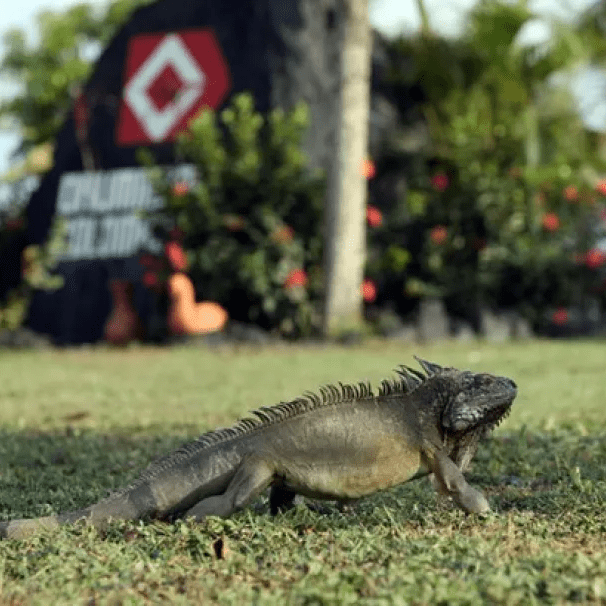 imagen_2024-04-11_191142941