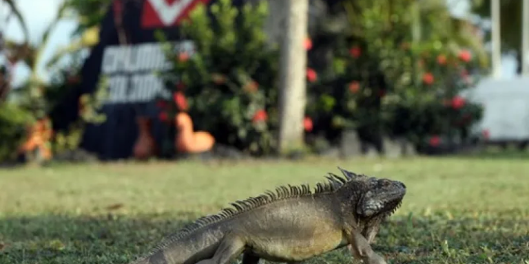 imagen_2024-04-11_191142941