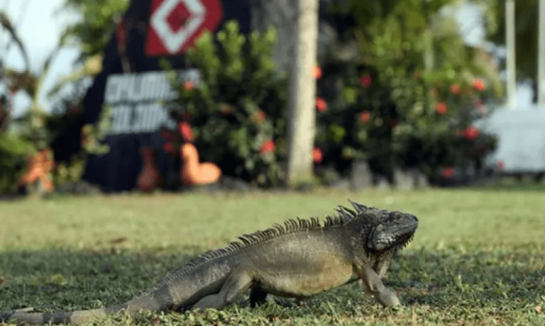 imagen_2024-04-11_191142941 imagen_2024-04-11_191142941