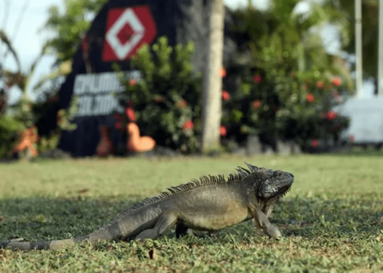 imagen_2024-04-11_191142941