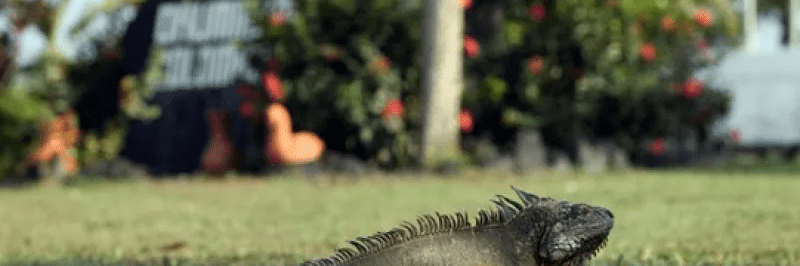 imagen_2024-04-11_191142941 imagen_2024-04-11_191142941