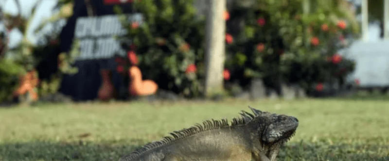 imagen_2024-04-11_191142941