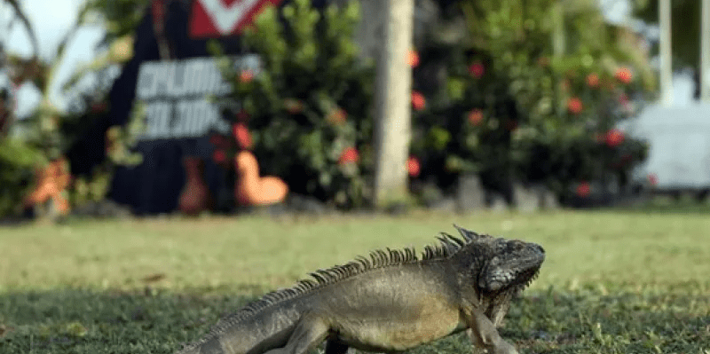 imagen_2024-04-11_191142941