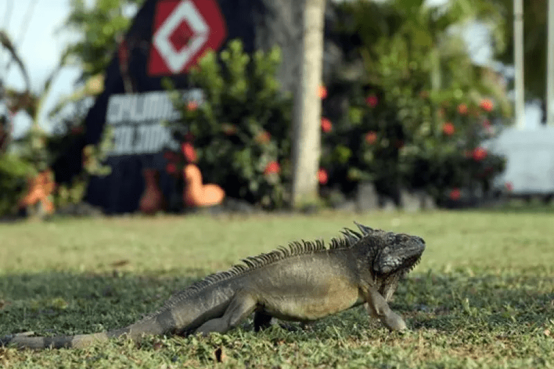 imagen_2024-04-11_191142941 imagen_2024-04-11_191142941