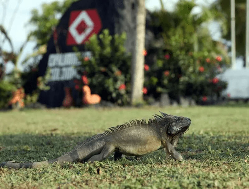 imagen_2024-04-11_191142941