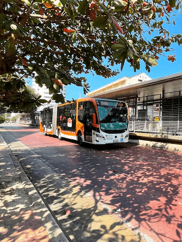 Plan piloto para la implementación de buses impulsados por hidrógeno en Cartagena