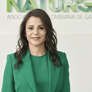 Gas natural en los hogares de colombia alcanzó más de 413 mil nuevos usuarios en 2023 Gas natural en los hogares de colombia alcanzó más de 413 mil nuevos usuarios en 2023