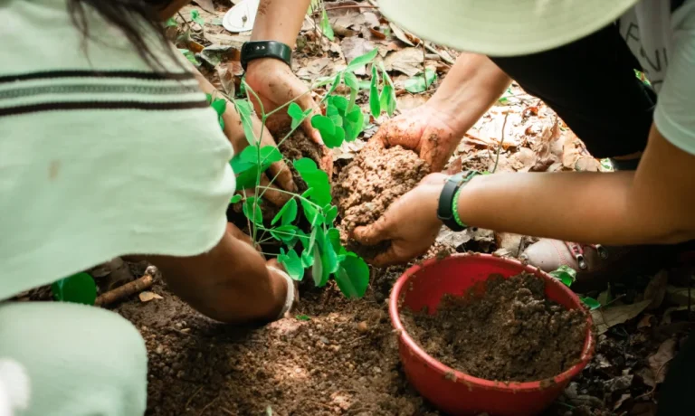 IMG_0721-1024×683-1