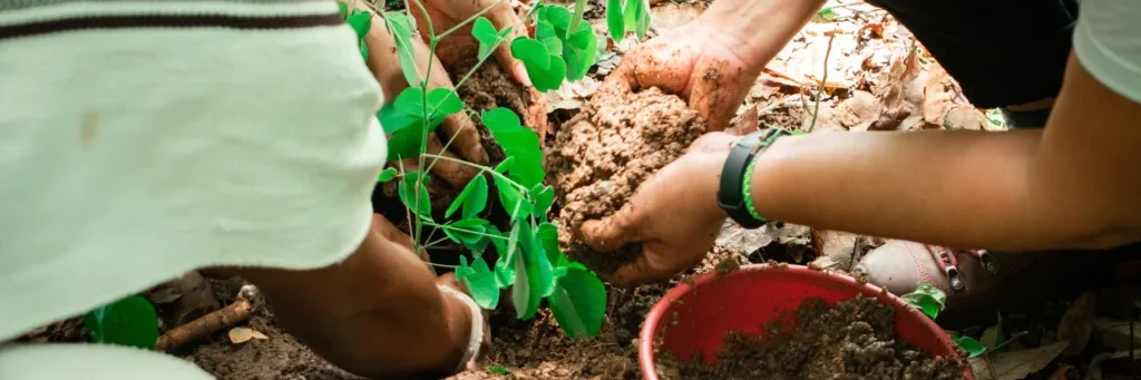 IMG_0721-1024×683-1