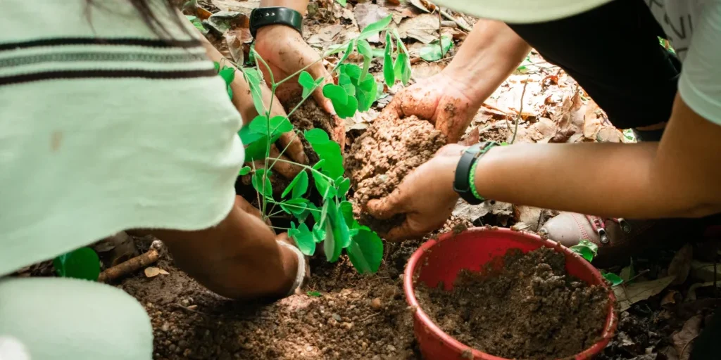 IMG_0721-1024×683-1