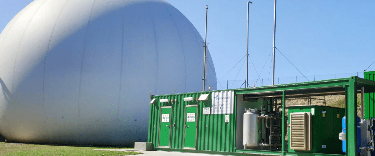 La red de gas, columna vertebral para la descarbonización en España