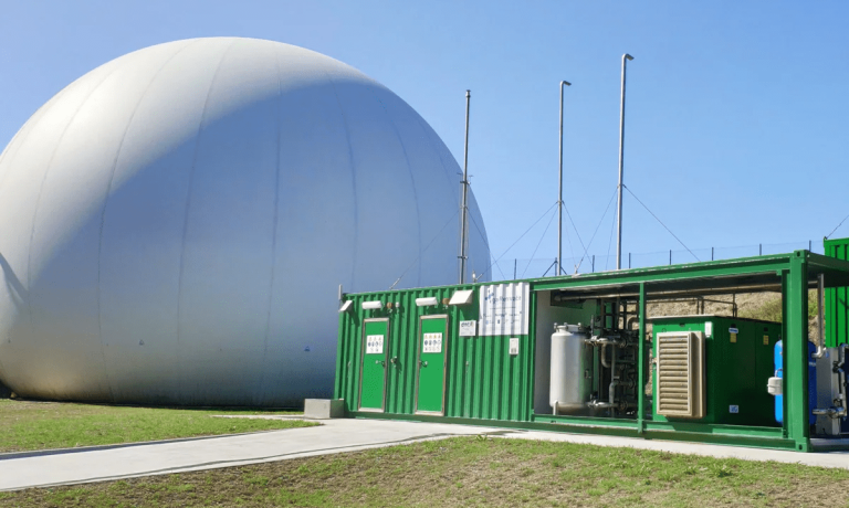 La red de gas, columna vertebral para la descarbonización en España La red de gas, columna vertebral para la descarbonización en España