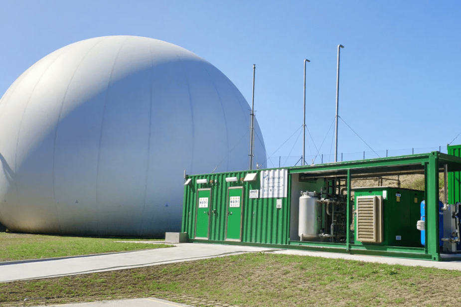 La red de gas, columna vertebral para la descarbonización en España La red de gas, columna vertebral para la descarbonización en España