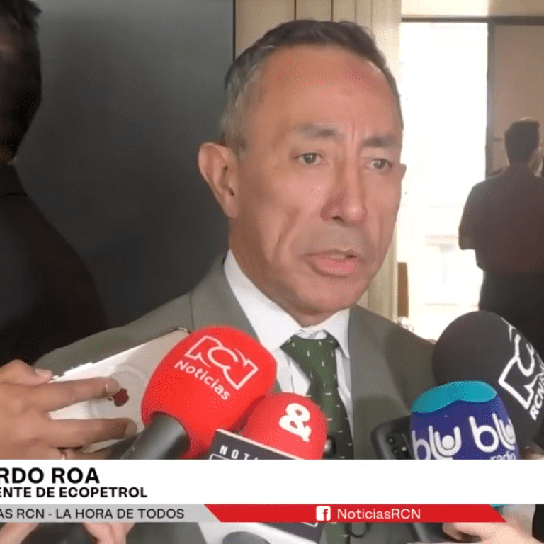 imagen_2024-07-25_174623536