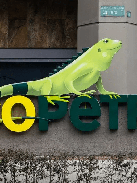 Ecopetrol anticipó golpe que sufrirían usuarios de gas natural; faltarían solo unos meses Ecopetrol anticipó golpe que sufrirían usuarios de gas natural; faltarían solo unos meses