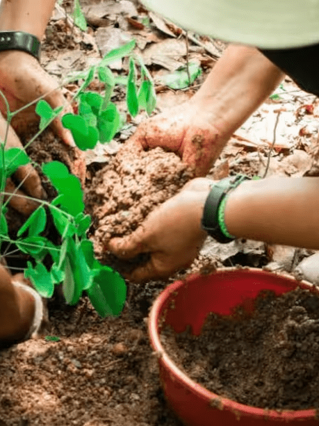 Promigas y Fondo Acción abren convocatoria para financiar proyectos climáticos Promigas y Fondo Acción abren convocatoria para financiar proyectos climáticos