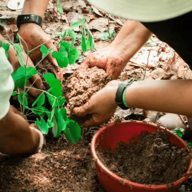 Promigas y Fondo Acción abren convocatoria para financiar proyectos climáticos