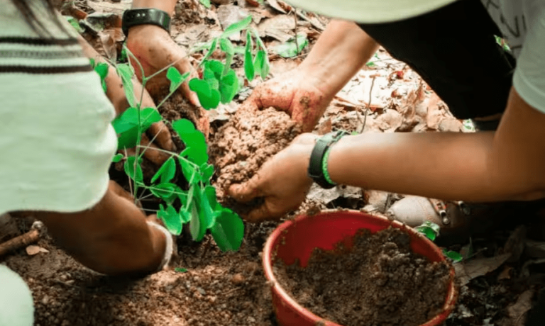 Promigas y Fondo Acción abren convocatoria para financiar proyectos climáticos Promigas y Fondo Acción abren convocatoria para financiar proyectos climáticos