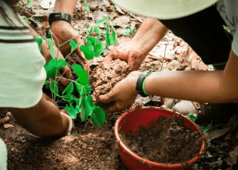 Promigas y Fondo Acción abren convocatoria para financiar proyectos climáticos