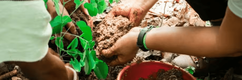 Promigas y Fondo Acción abren convocatoria para financiar proyectos climáticos Promigas y Fondo Acción abren convocatoria para financiar proyectos climáticos