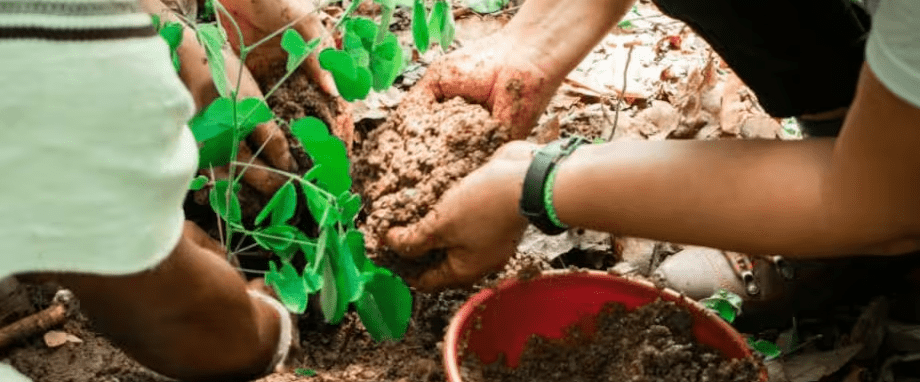 Promigas y Fondo Acción abren convocatoria para financiar proyectos climáticos