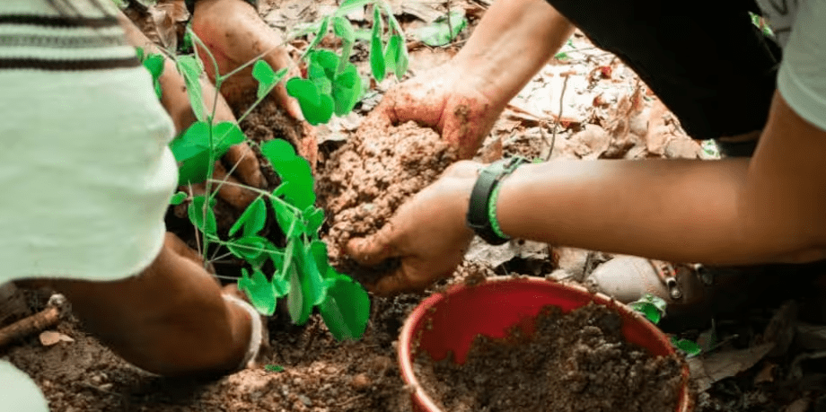 Promigas y Fondo Acción abren convocatoria para financiar proyectos climáticos