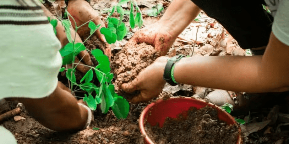 Promigas y Fondo Acción abren convocatoria para financiar proyectos climáticos Promigas y Fondo Acción abren convocatoria para financiar proyectos climáticos