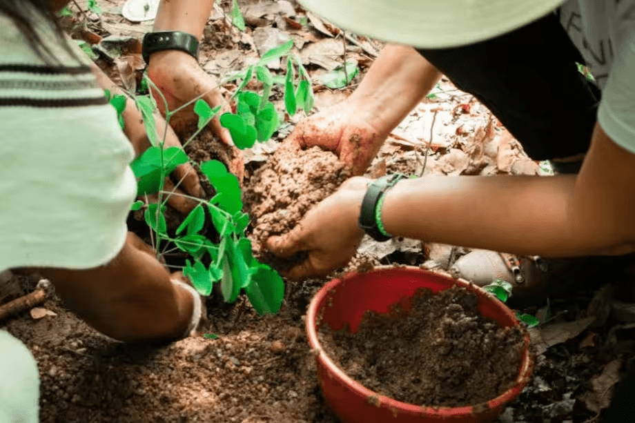 Promigas y Fondo Acción abren convocatoria para financiar proyectos climáticos Promigas y Fondo Acción abren convocatoria para financiar proyectos climáticos