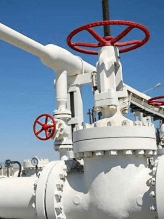 No habrá racionamiento de gas pero se necesita aumentar la actividad exploratoria: Presidenta de Naturgas No habrá racionamiento de gas pero se necesita aumentar la actividad exploratoria: Presidenta de Naturgas