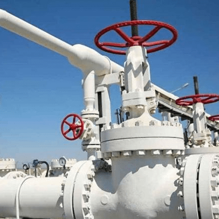 No habrá racionamiento de gas pero se necesita aumentar la actividad exploratoria: Presidenta de Naturgas No habrá racionamiento de gas pero se necesita aumentar la actividad exploratoria: Presidenta de Naturgas