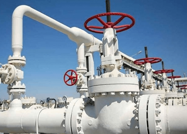 No habrá racionamiento de gas pero se necesita aumentar la actividad exploratoria: Presidenta de Naturgas