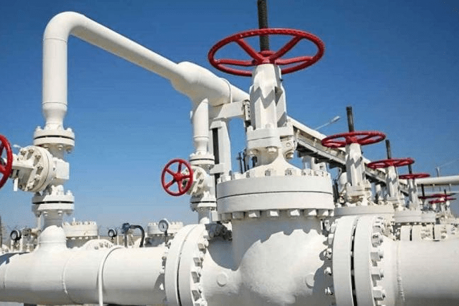 No habrá racionamiento de gas pero se necesita aumentar la actividad exploratoria: Presidenta de Naturgas