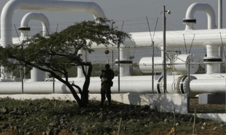 imagen_2024-08-16_012720583