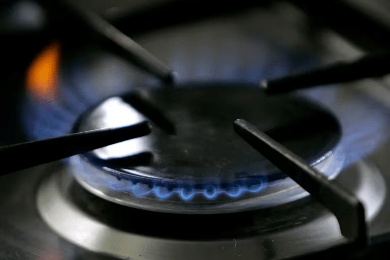 imagen_2024-08-23_130654719