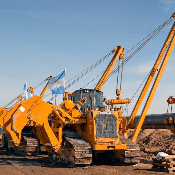 imagen_2024-08-23_131838574