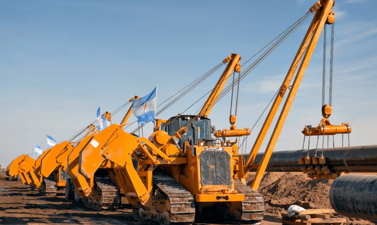 imagen_2024-08-23_131838574