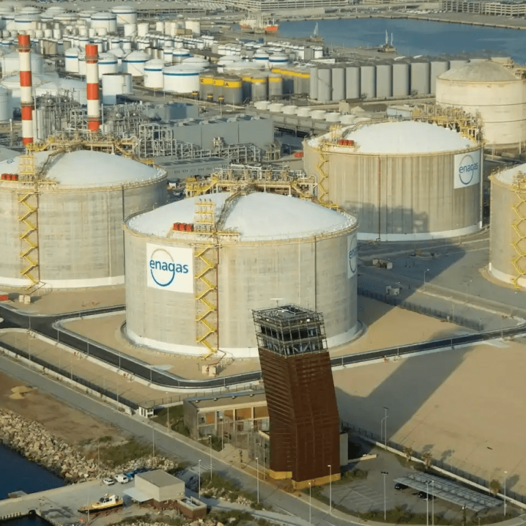 imagen_2024-08-23_132036990