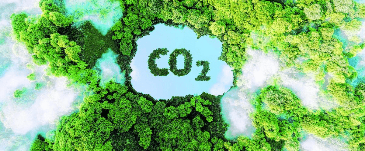 Iniciativas que adelanta la industria del gas para mitigar impactos ecológicos